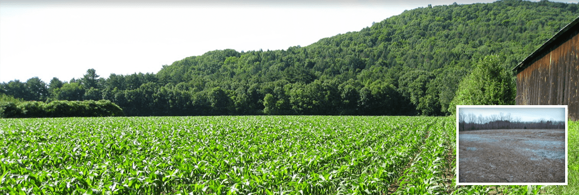 Agricultural – Fertlizer