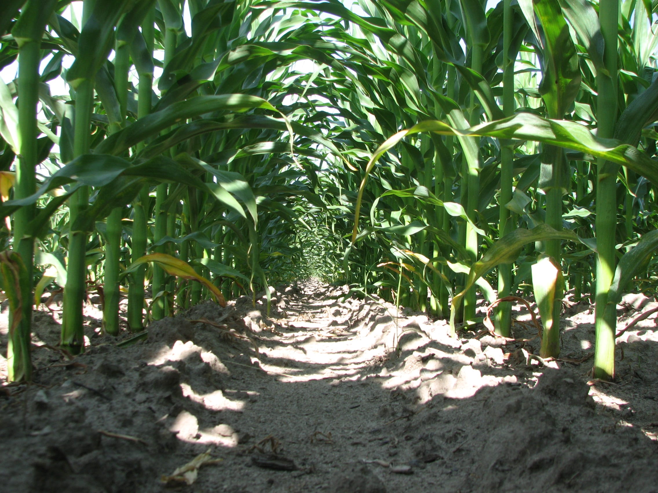 Nutrient Management Planning