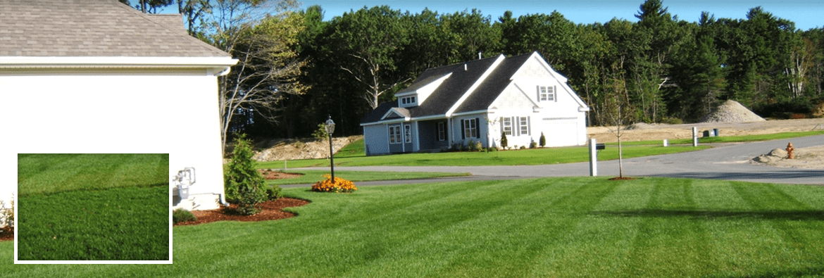 Landscaping Topsoils