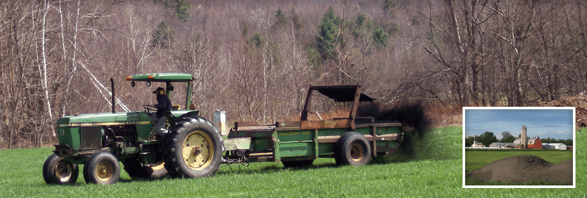 NH Biomass Plants Need Your Help!