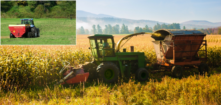 Biosolids