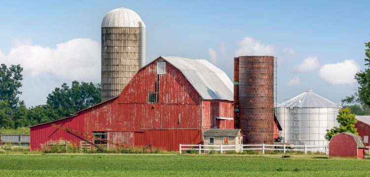Agricultural