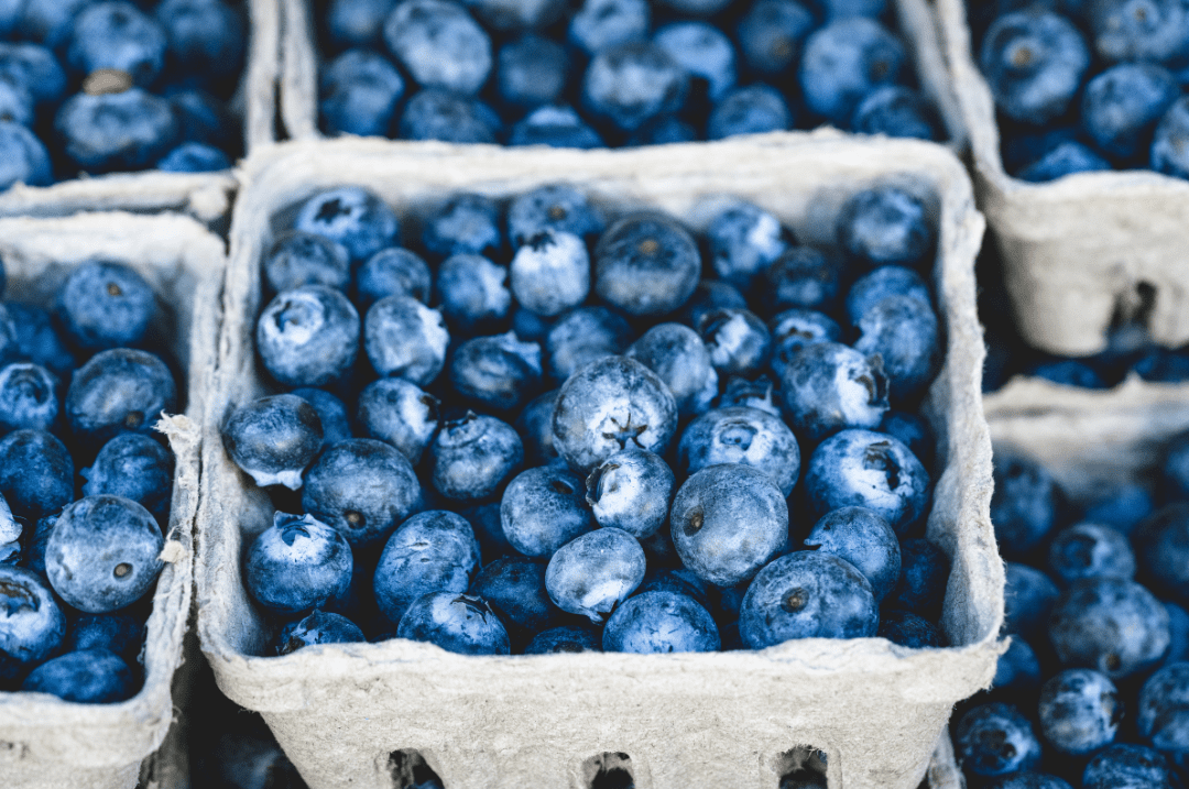 Kicking Off National Blueberry Month